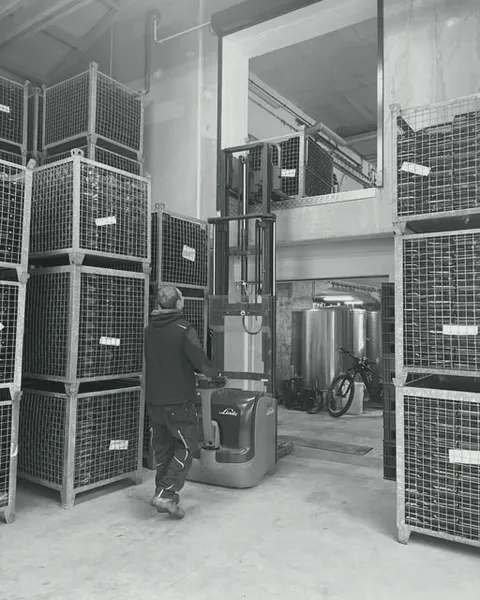Arbeit im Weinkeller: Gitterboxen mit Flaschen, Hubwagen und Edelstahltanks